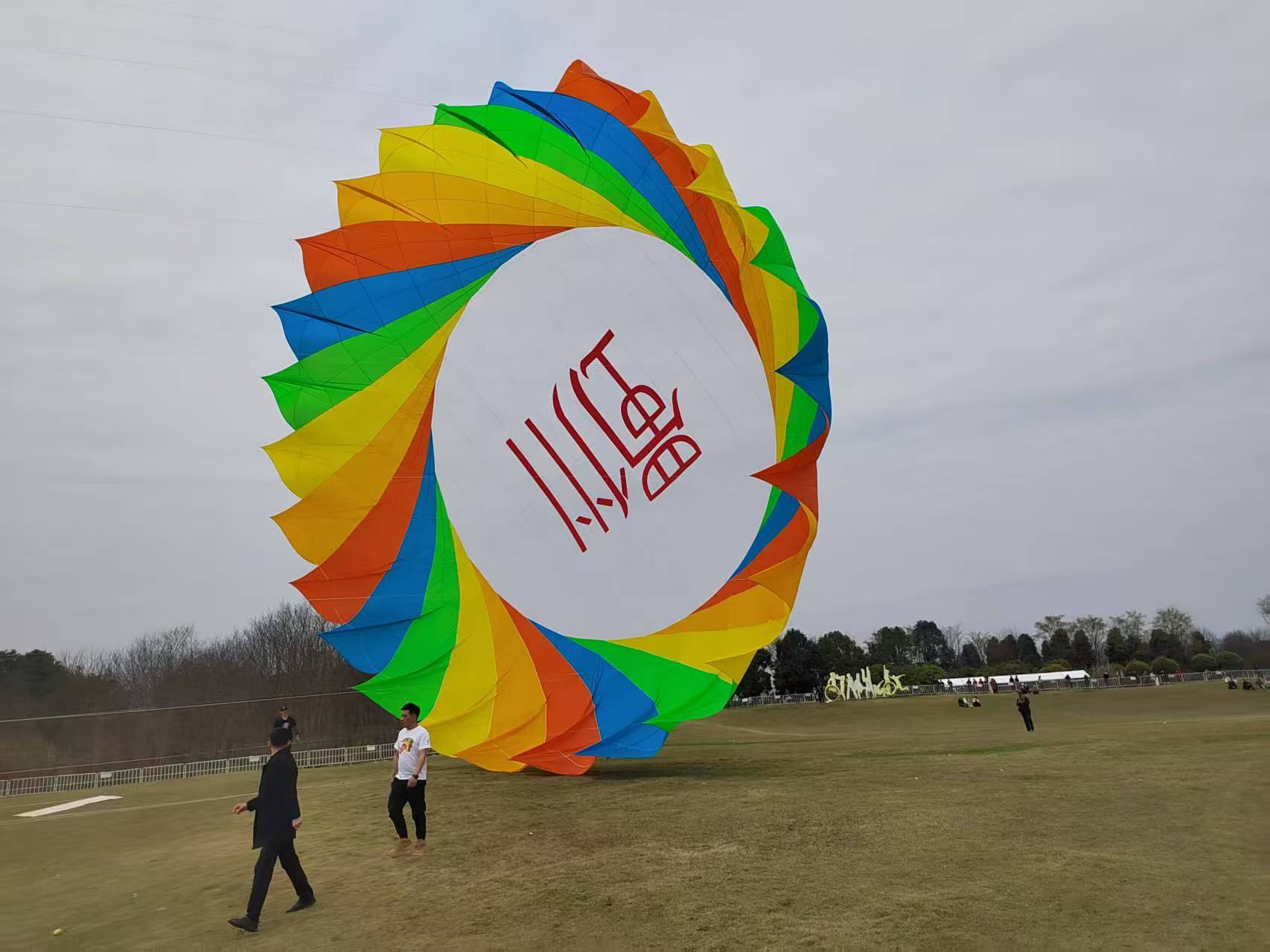 威海市宣传风筝定制风筝批发 - 推荐