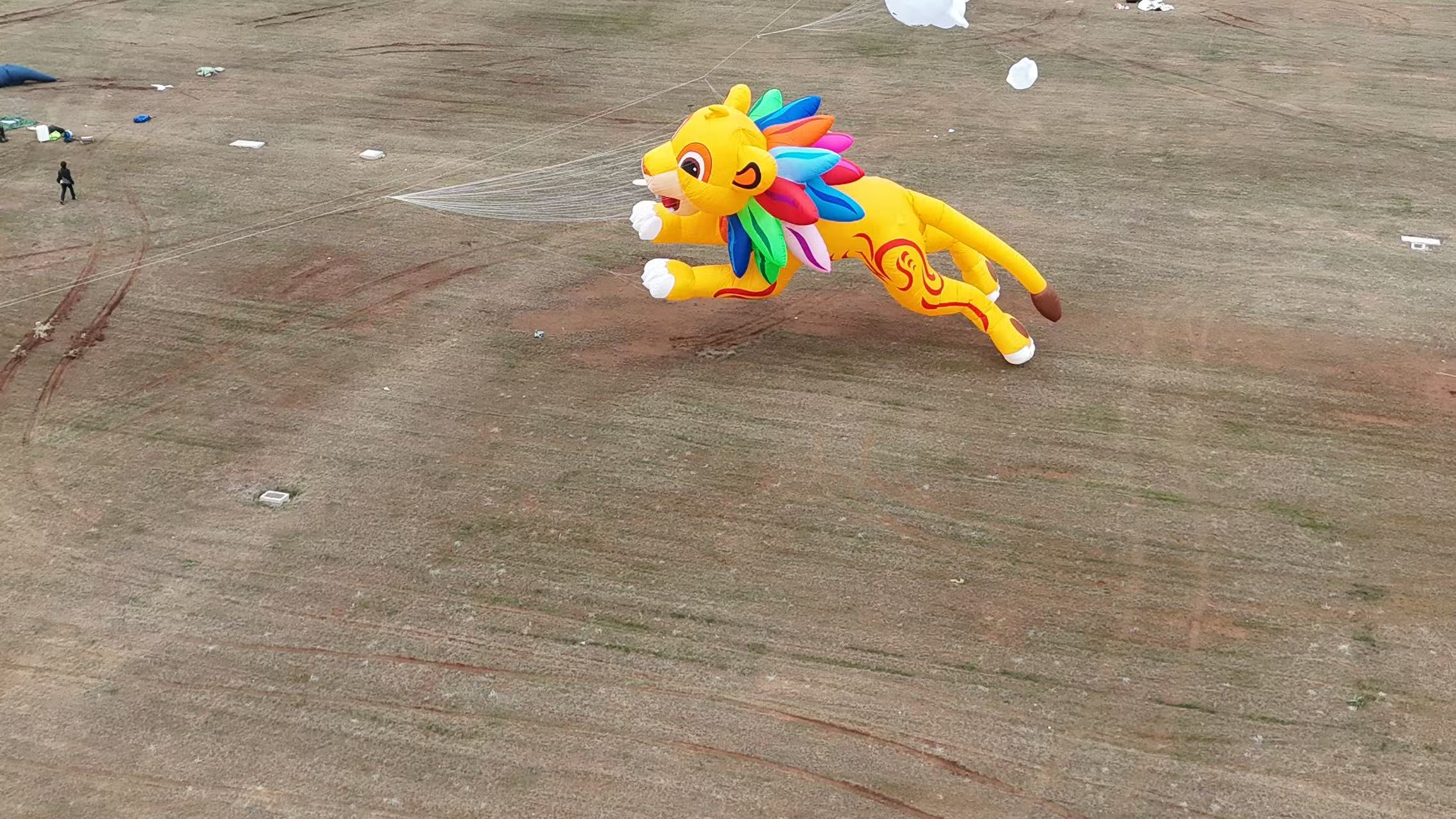 威海市品牌风筝定制风筝商业放飞 - 价格