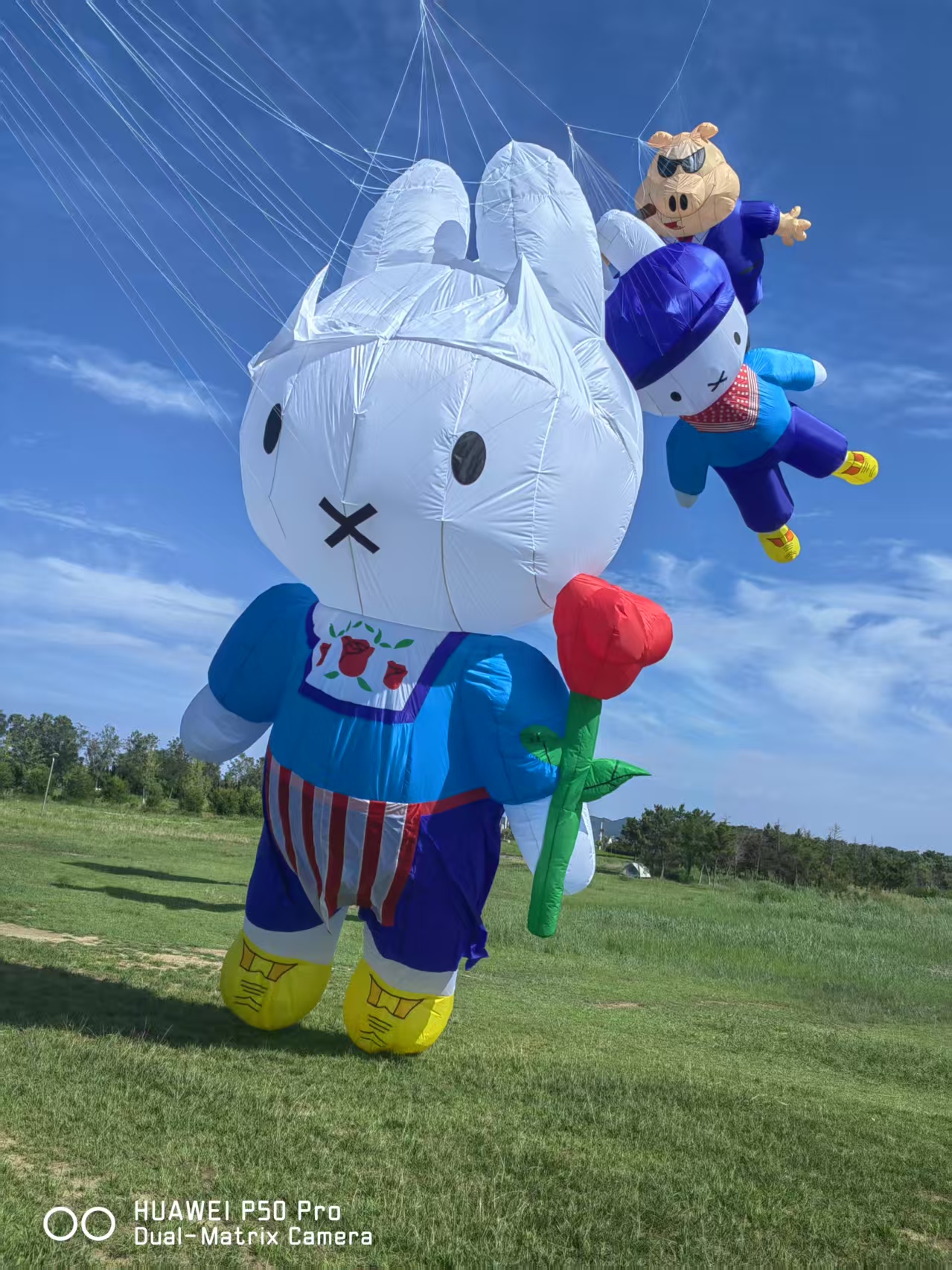 威海市儿童风筝定制风筝定制 - 排名