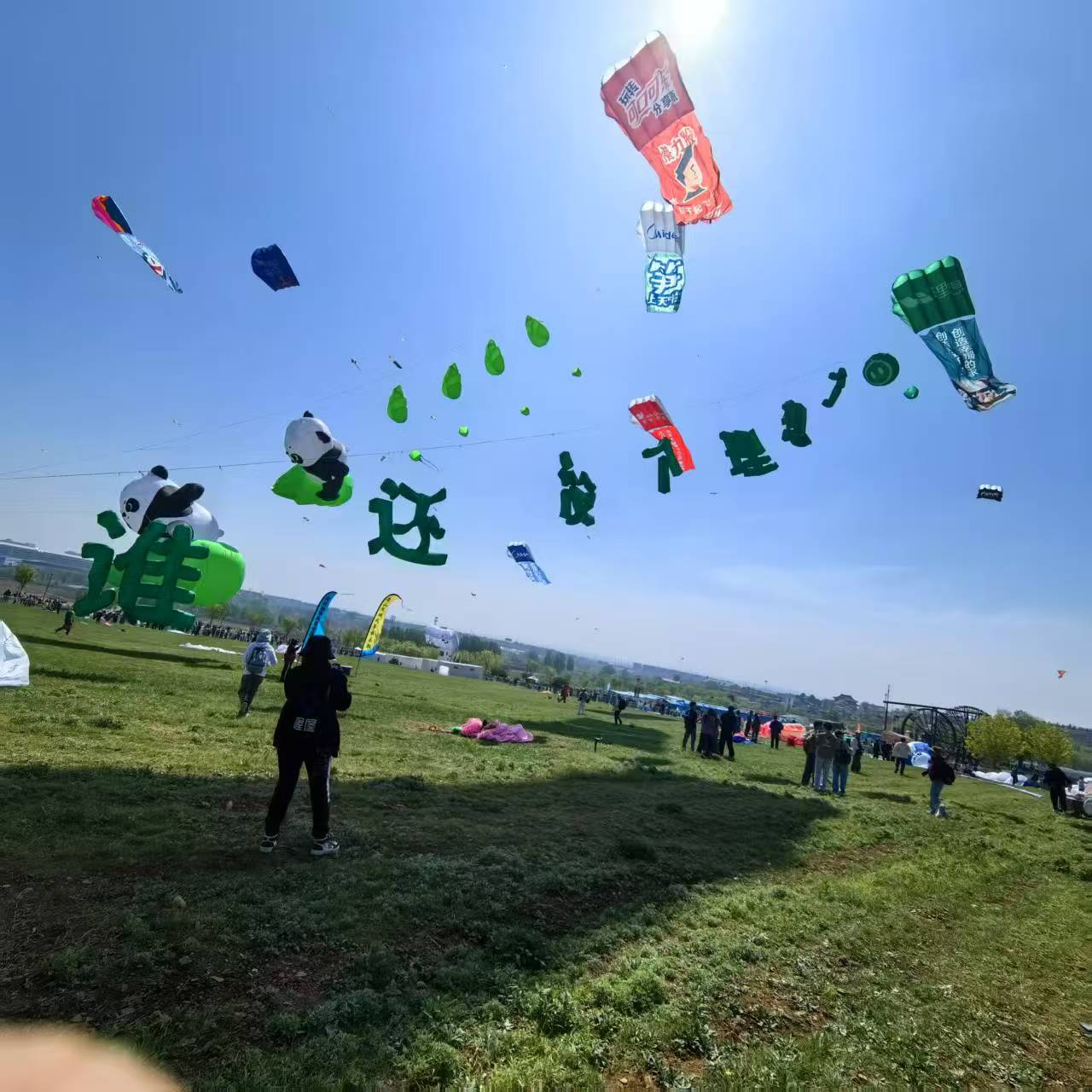 威海市风筝定制风筝定制 - 排名